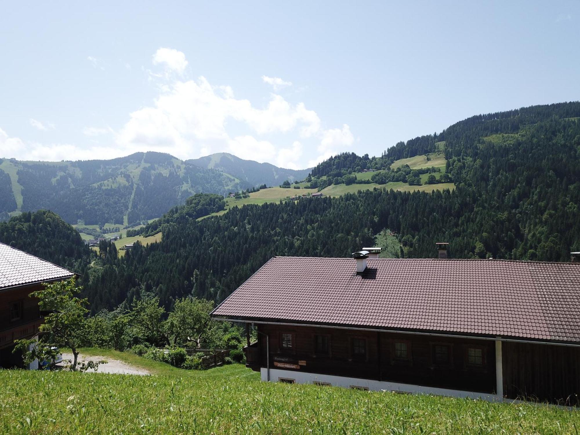 Wimmers Hundsegghof Wild001 Niederau Kültér fotó