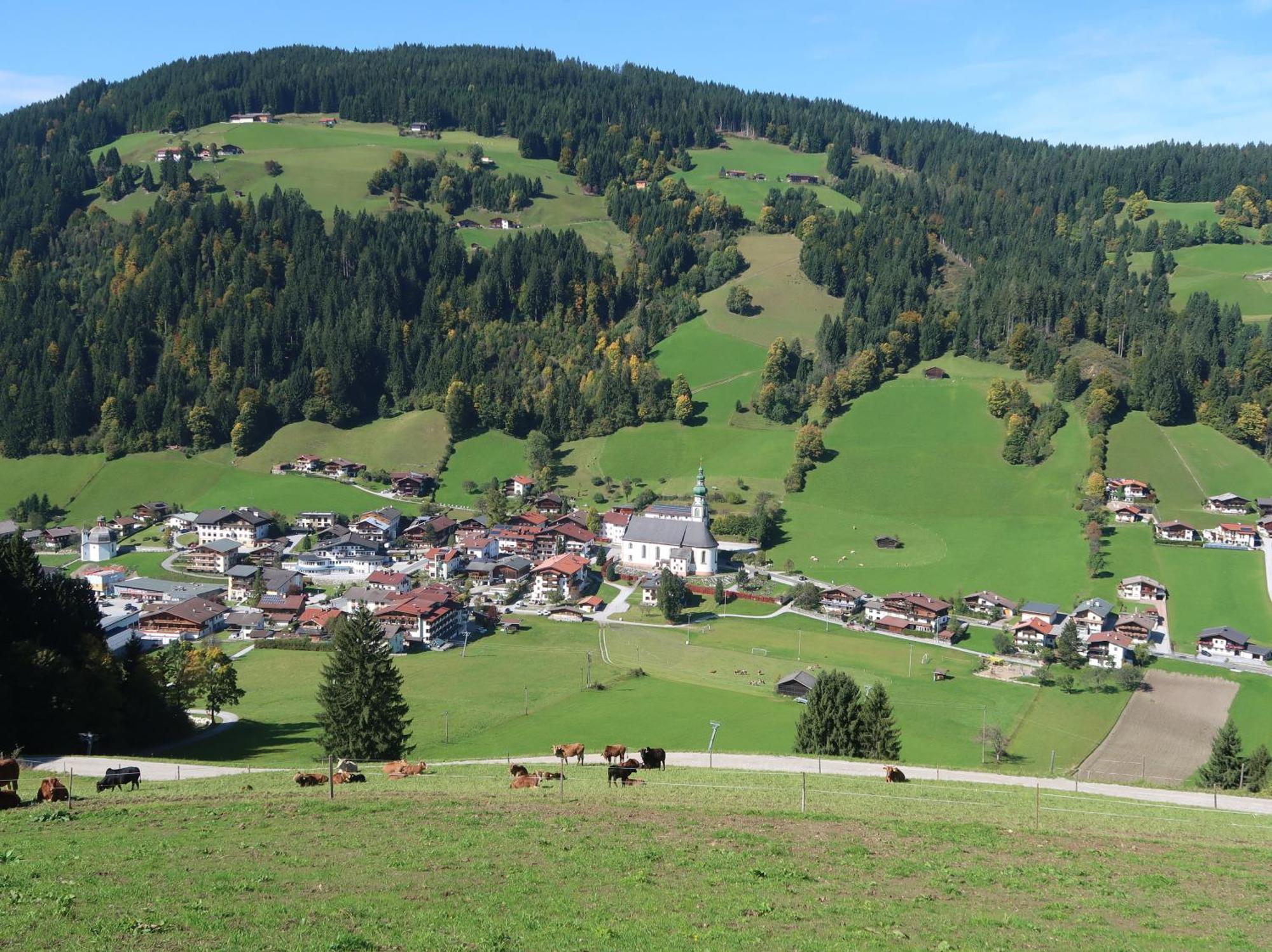 Wimmers Hundsegghof Wild001 Niederau Kültér fotó