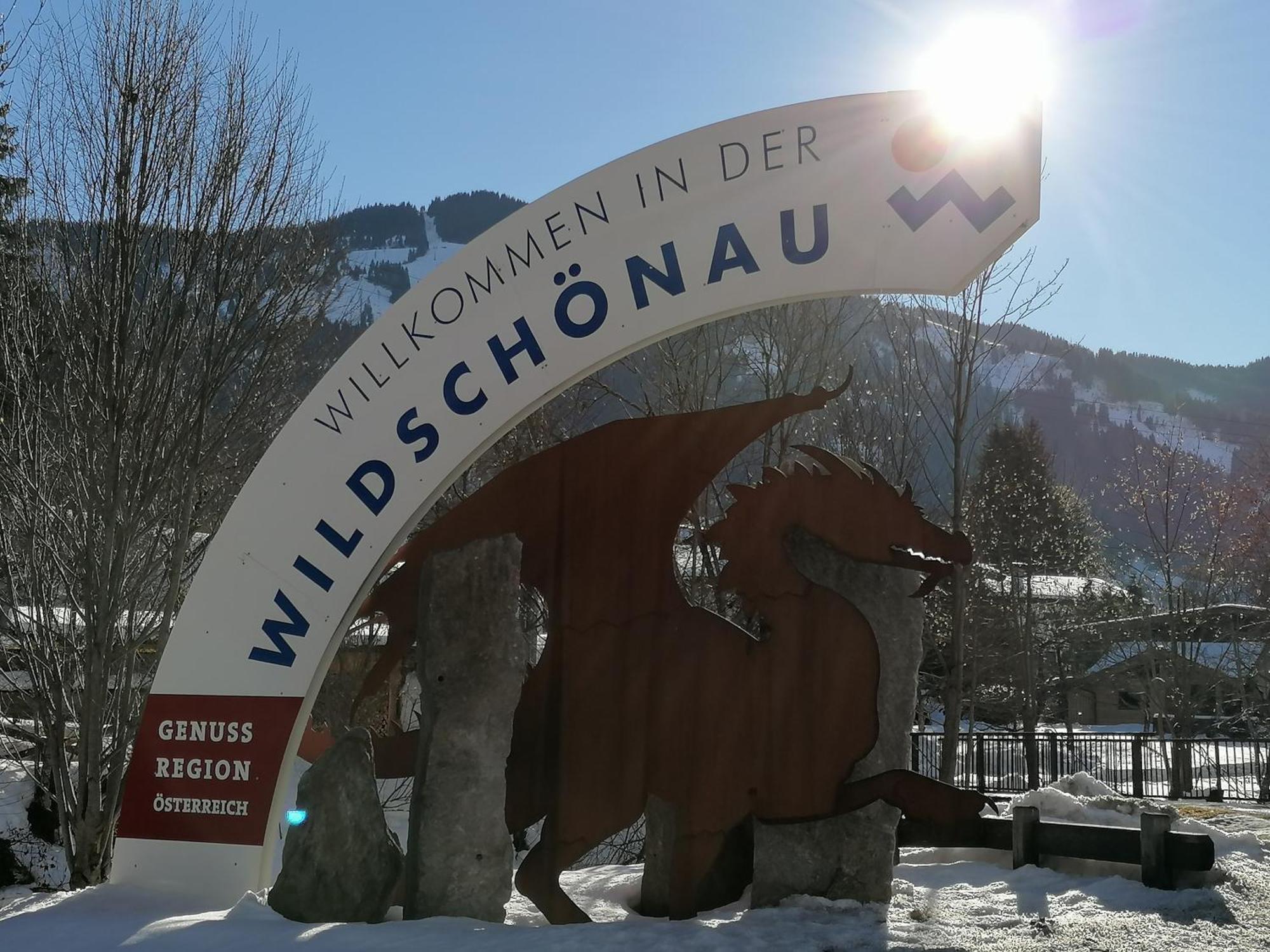 Wimmers Hundsegghof Wild001 Niederau Kültér fotó